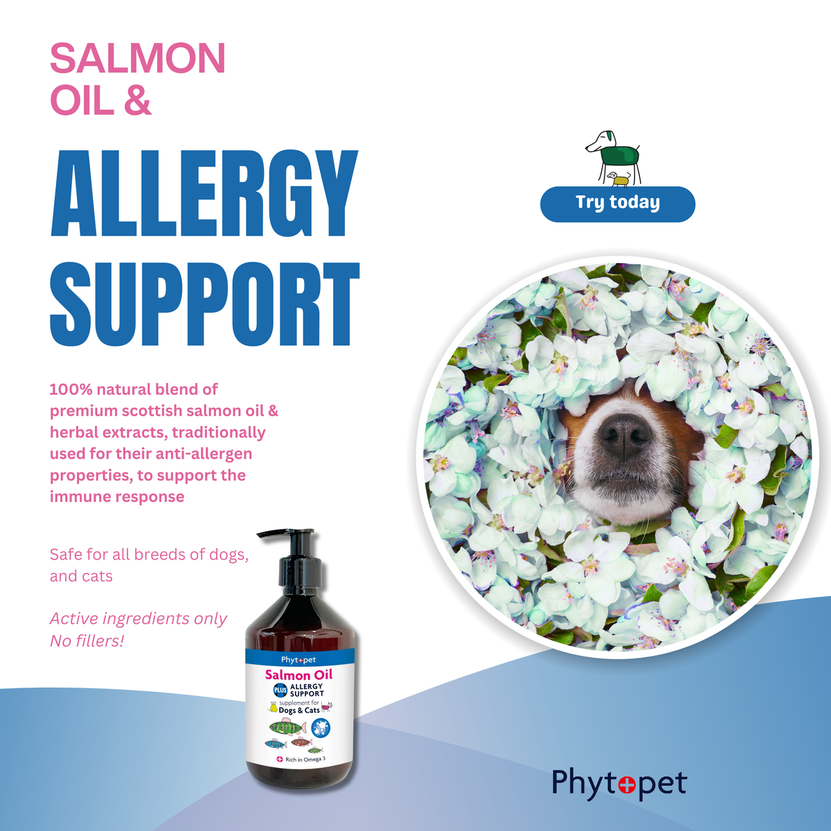 Dog allergic to salmon oil best sale