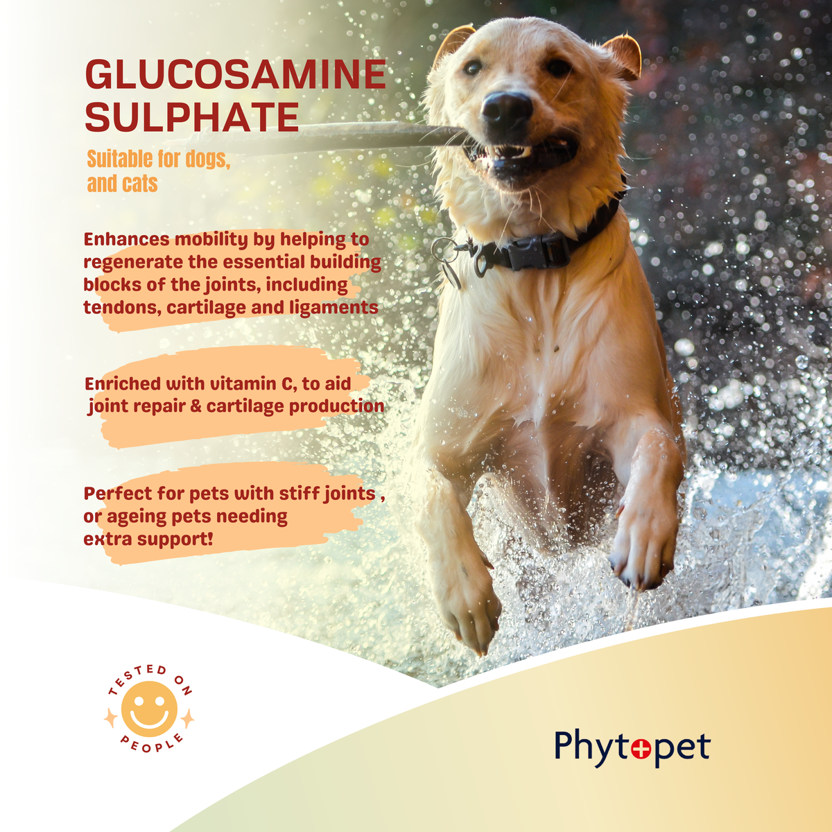 Sam's club glucosamine for shops dogs