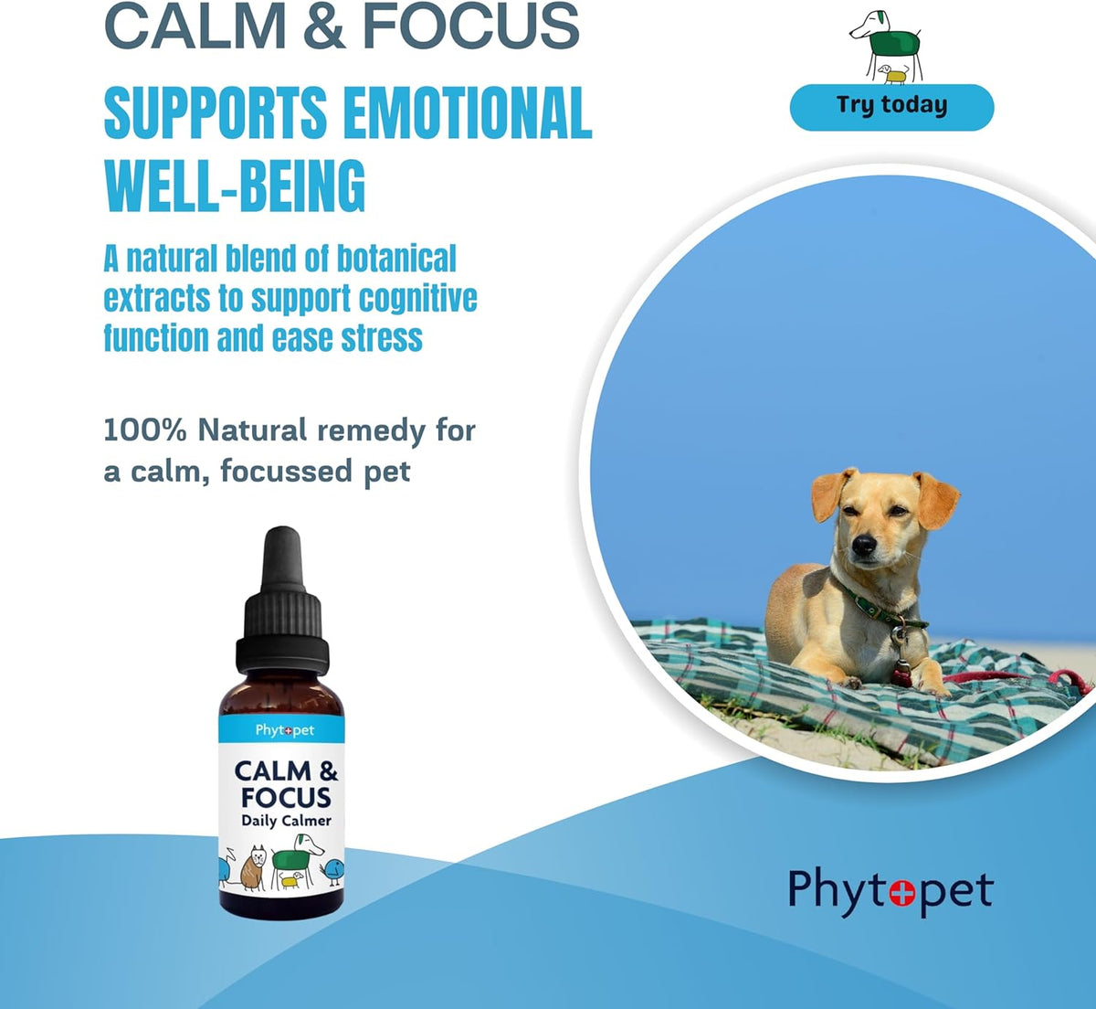 Calm & Focus - Daily Calmer – Phytopet Ltd