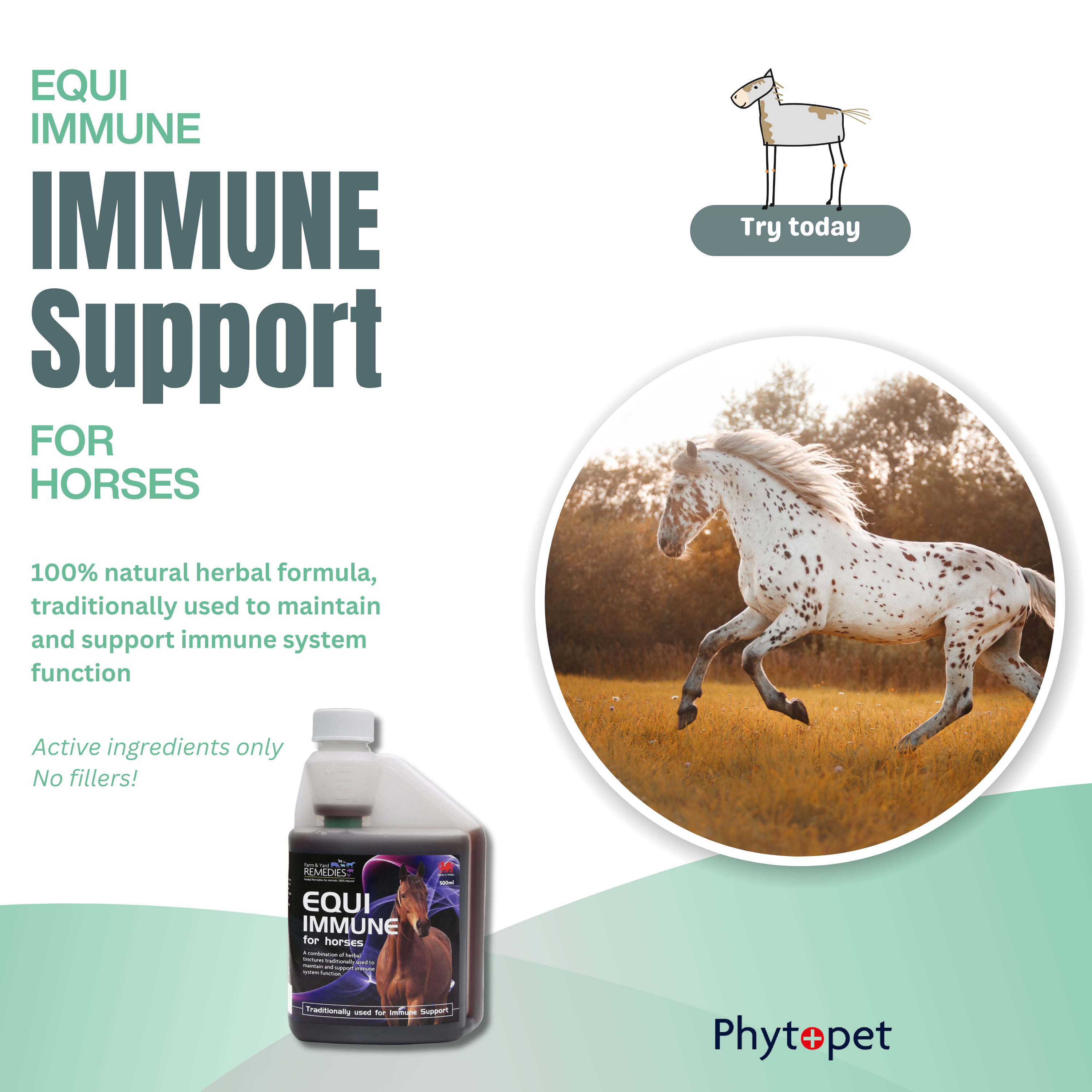 Equi Immune - Immune system support