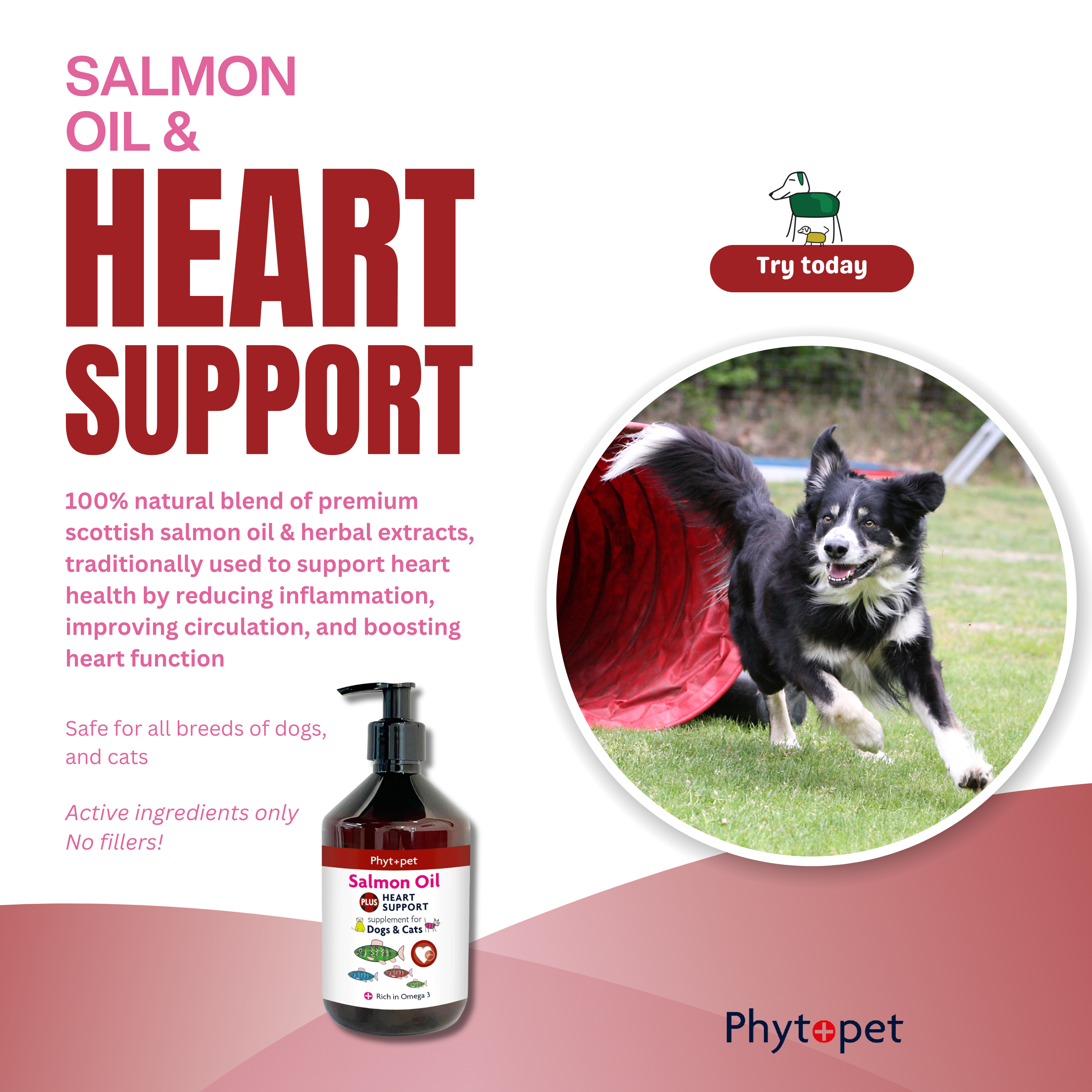 Salmon Oil Plus 300ml Heart Support