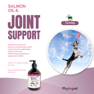 Salmon Oil Plus 300ml Joint Support