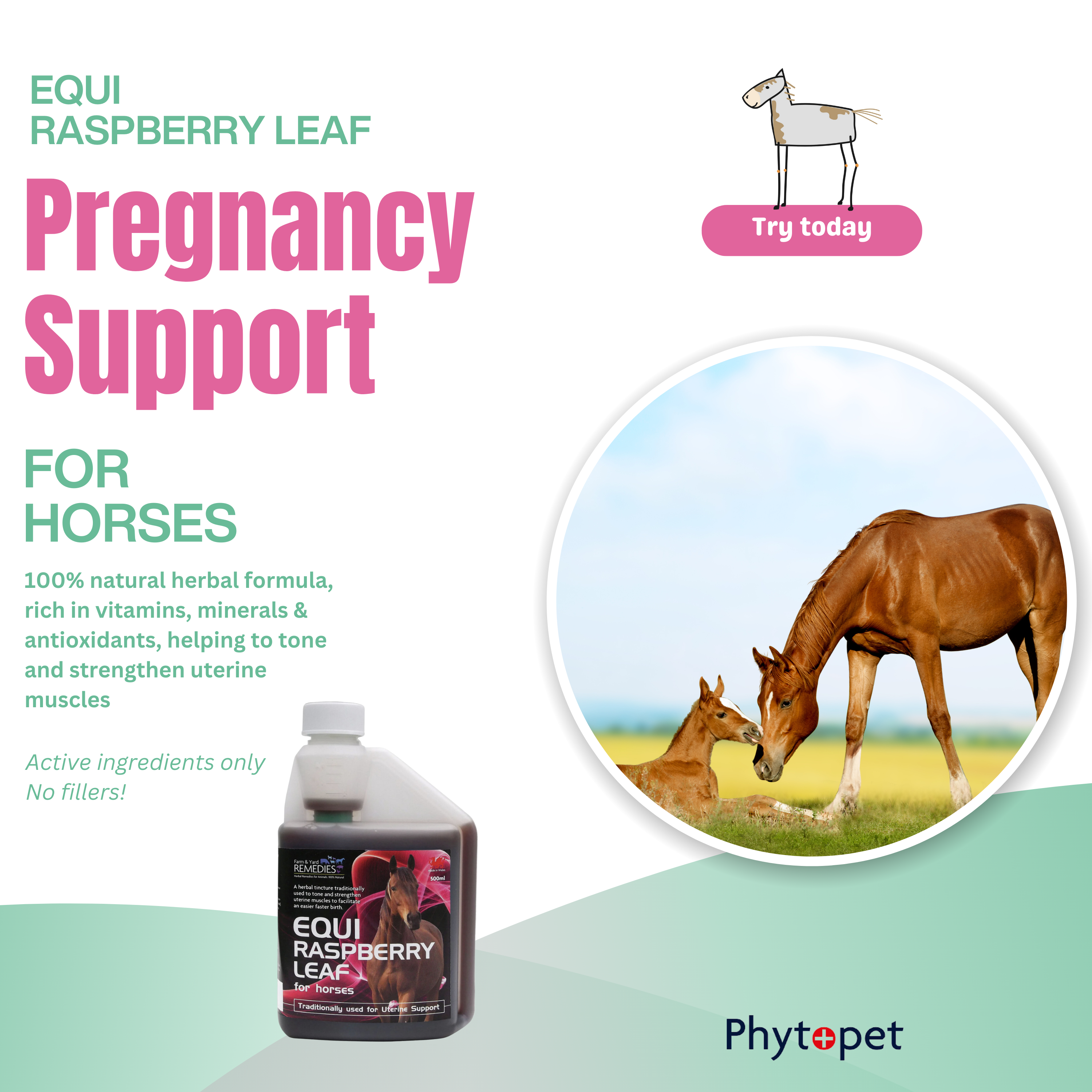 Equi-Raspberry Leaf