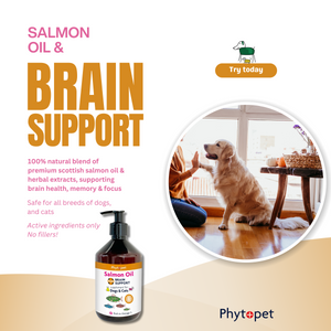 Salmon Oil Plus 300ml Brain Support