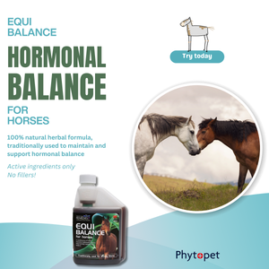 Equi-Balance - For Moody Mares and more.