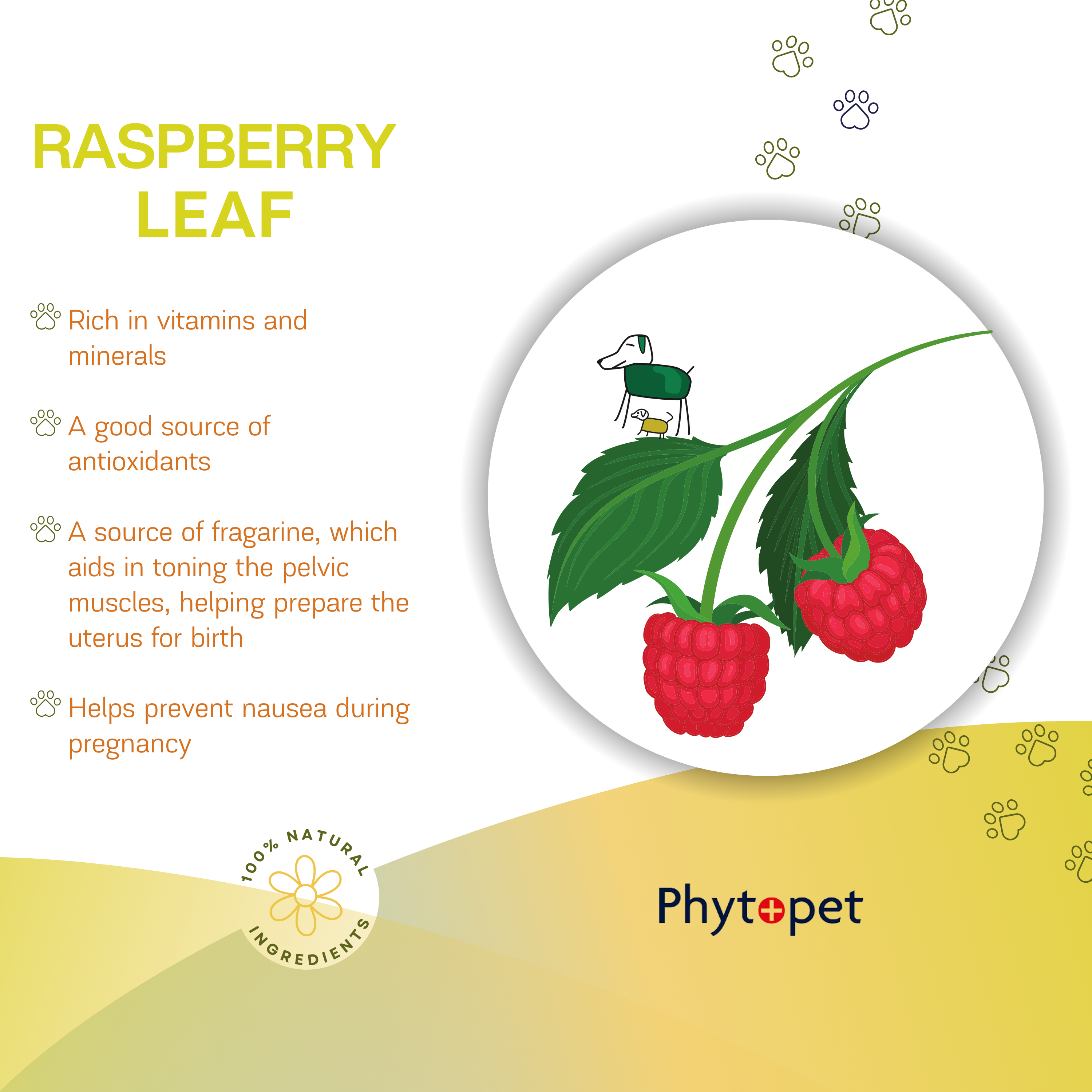 Raspberry leaf 30ml