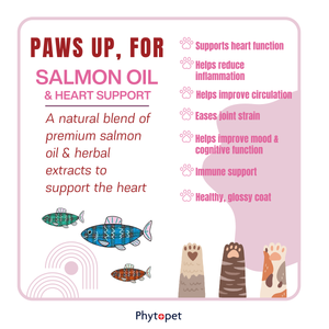 Salmon Oil Plus 300ml Heart Support