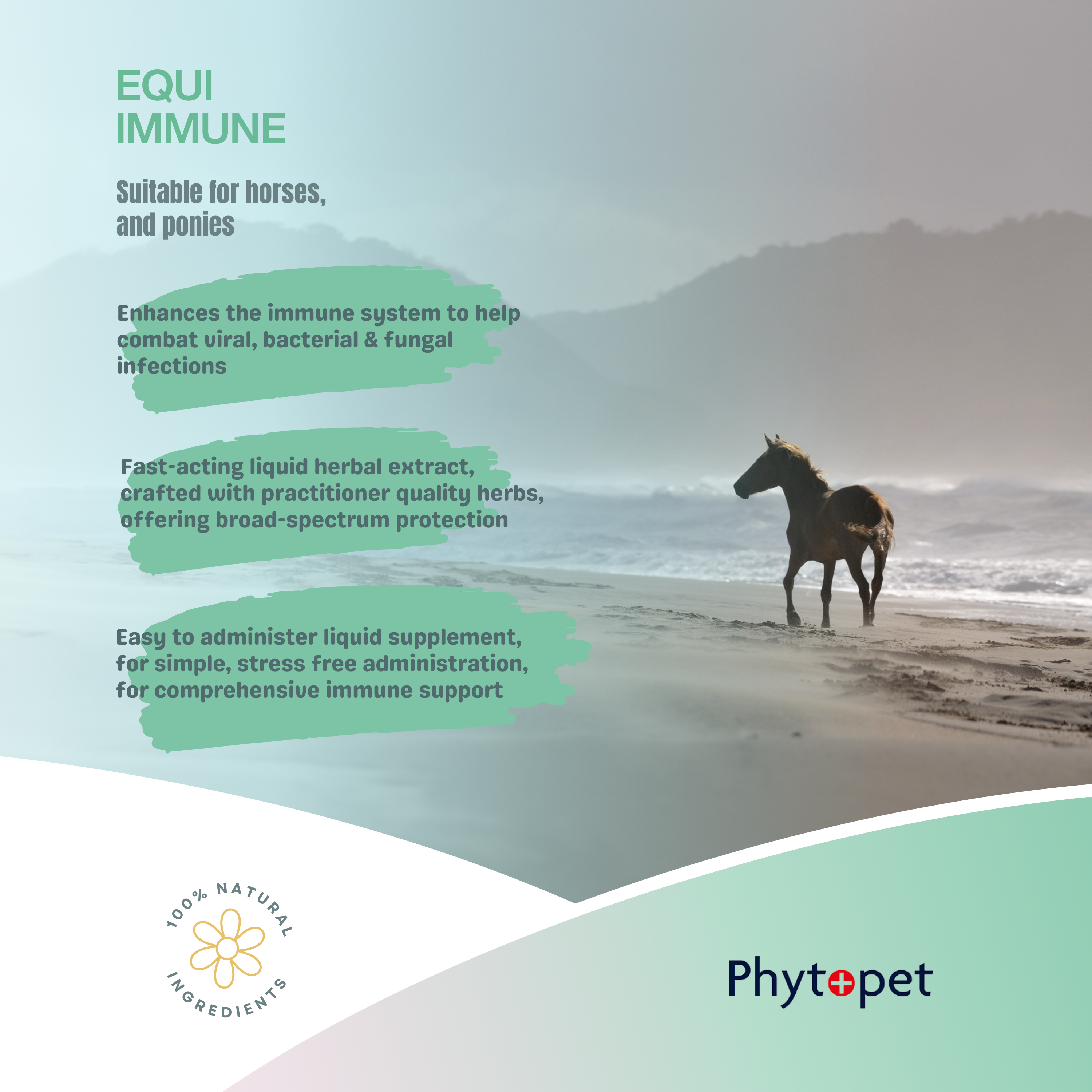 Equi Immune - Immune system support