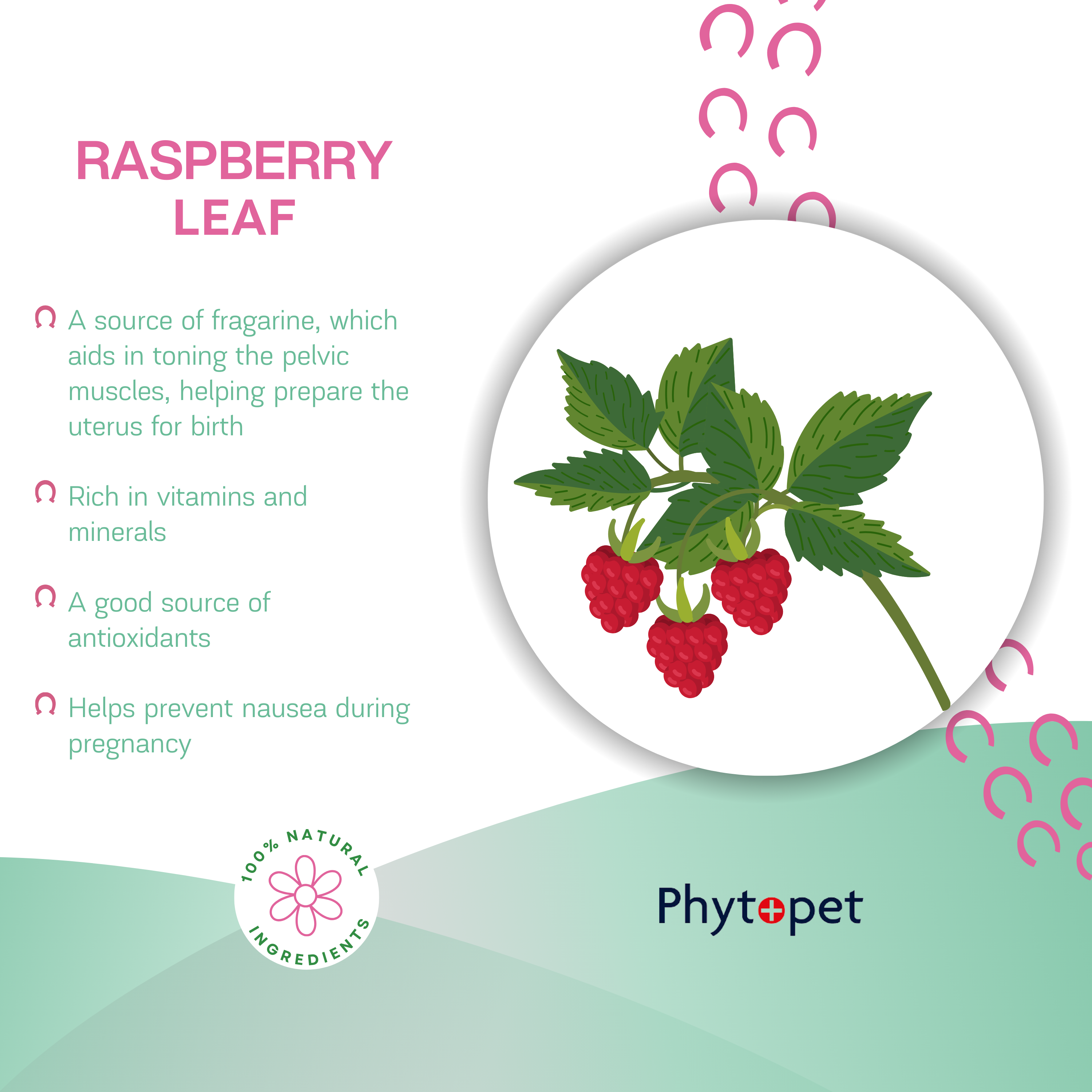 Equi-Raspberry Leaf