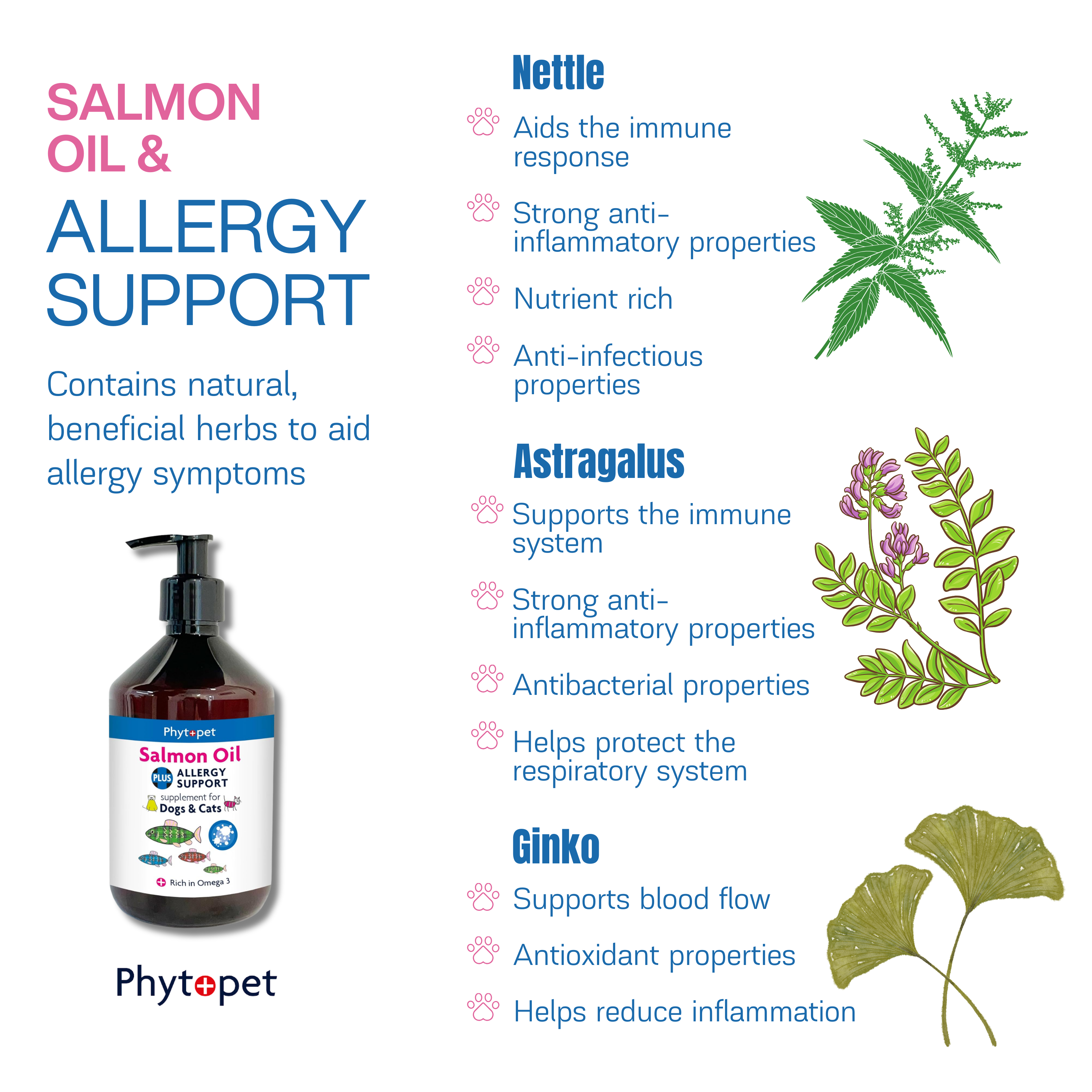 Salmon Oil Plus 300ml Allergy Support