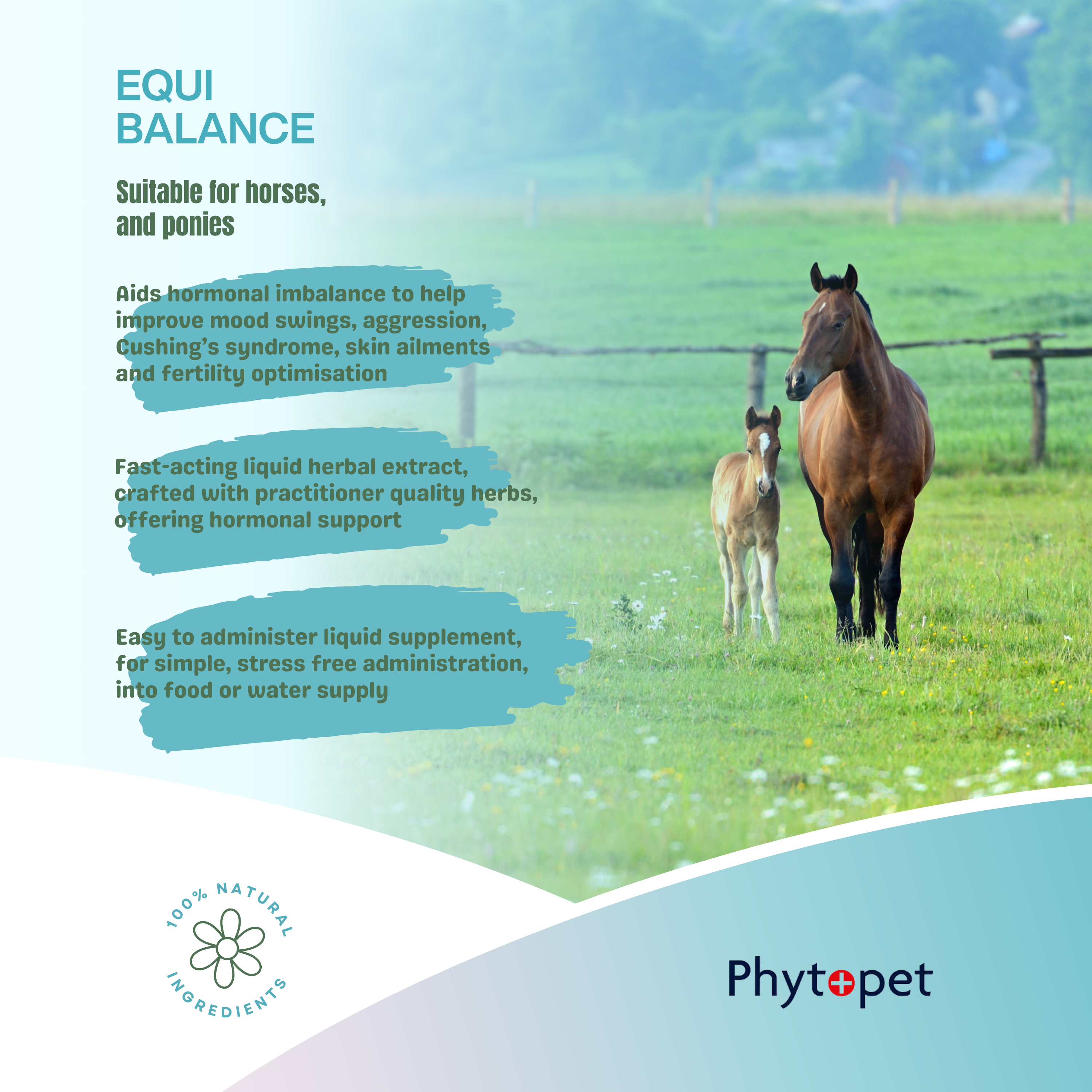 Equi-Balance - For Moody Mares and more.