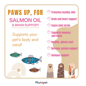 Salmon Oil Plus 300ml Brain Support