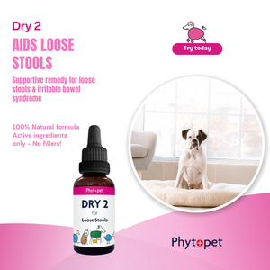 Dry 2 - Herbal support for the 'Squits'