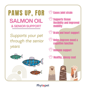 Salmon Oil Plus 300ml Senior Support