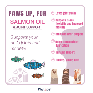 Salmon Oil Plus 300ml Joint Support