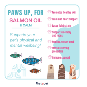 Salmon Oil Plus 300ml Calming Support