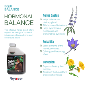 Equi-Balance - For Moody Mares and more.