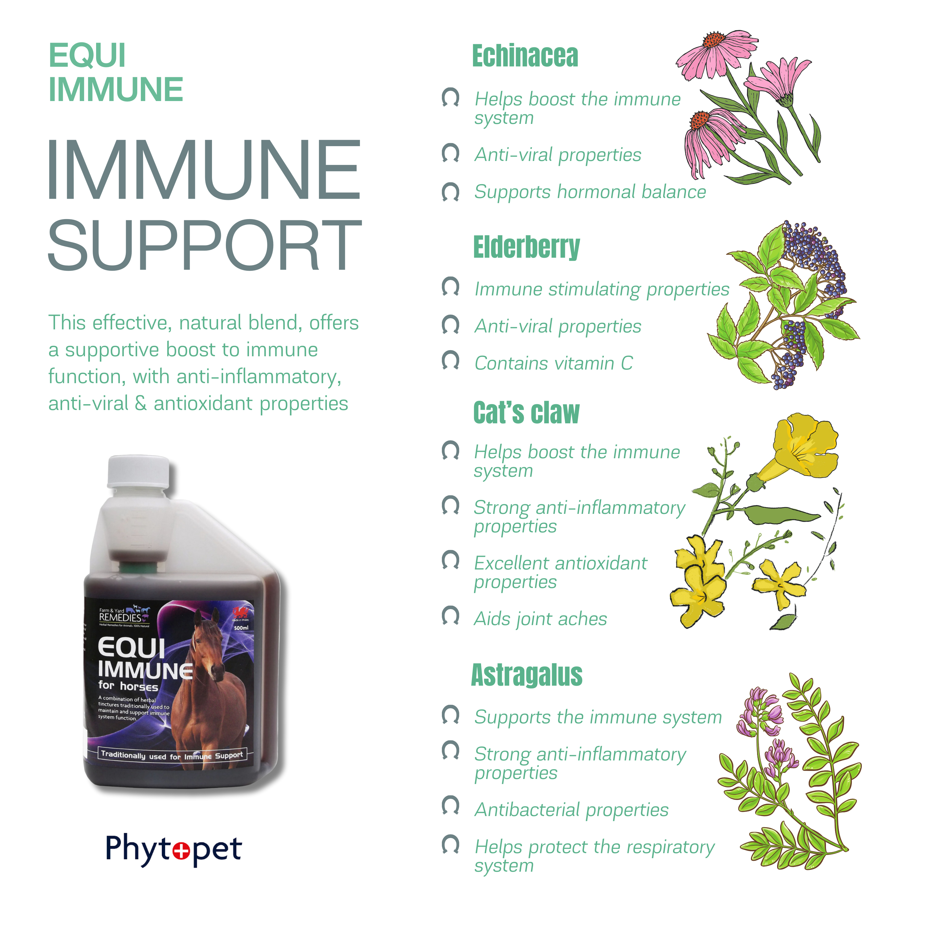 Equi Immune - Immune system support