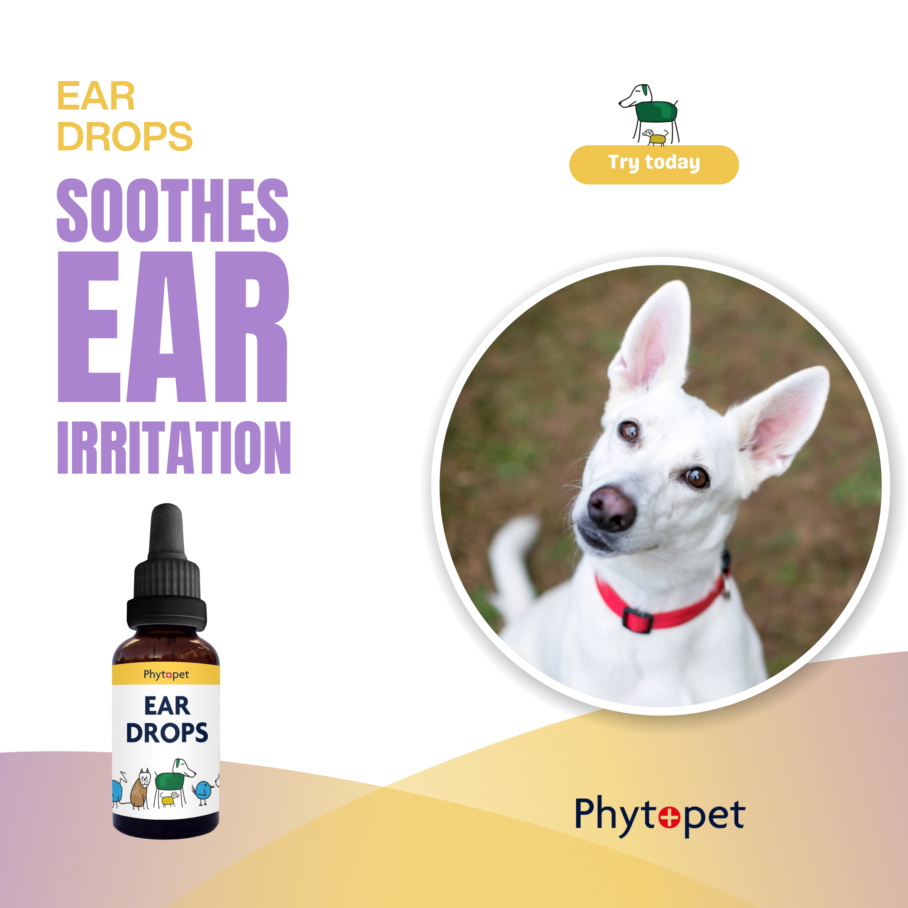Ear Drops - Herbal oil combination to help soften ear wax, calm irritation and deter mites.