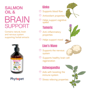 Salmon Oil Plus 300ml Brain Support