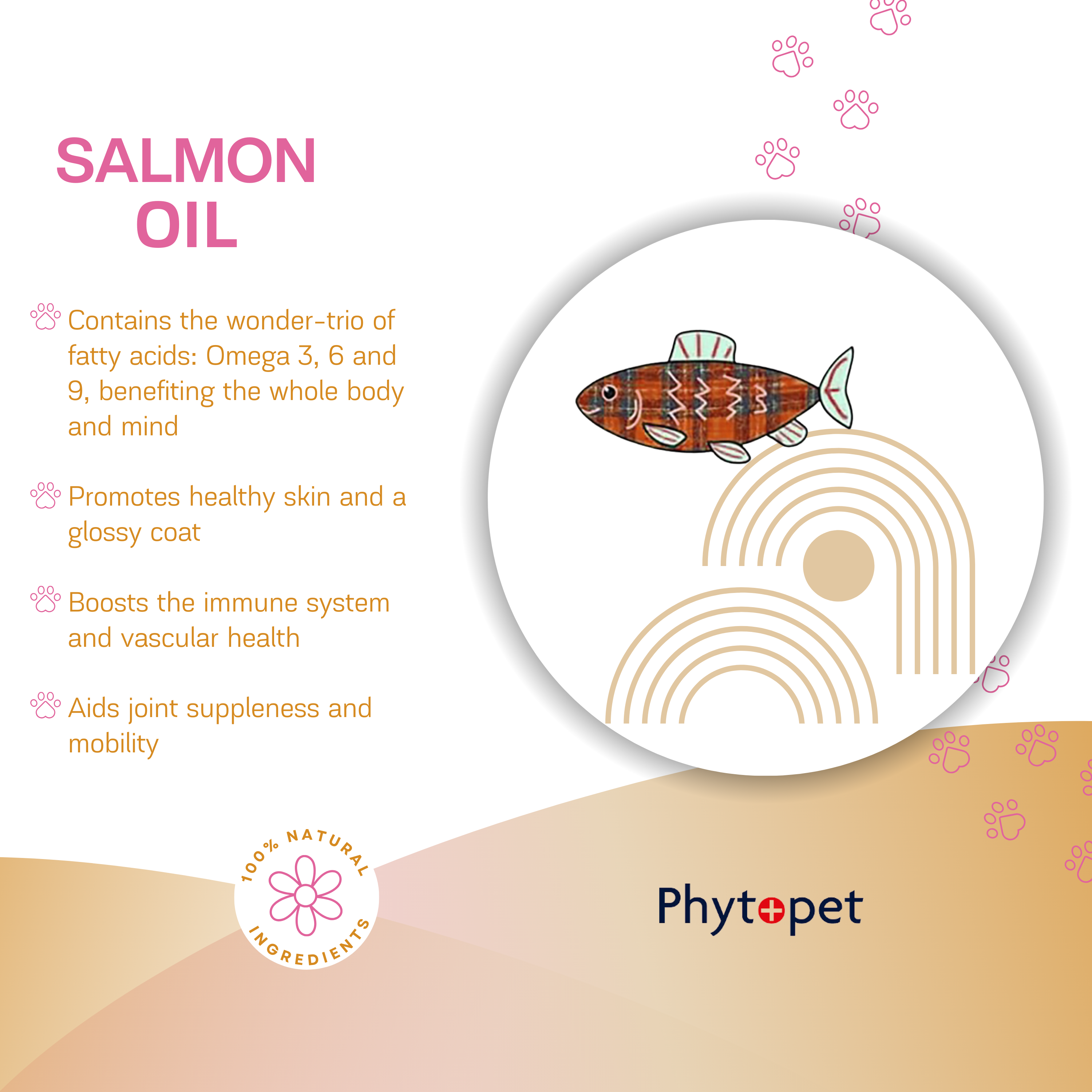 Salmon Oil Plus 300ml Brain Support