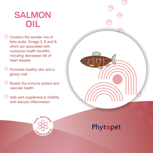 Salmon Oil Plus 300ml Heart Support