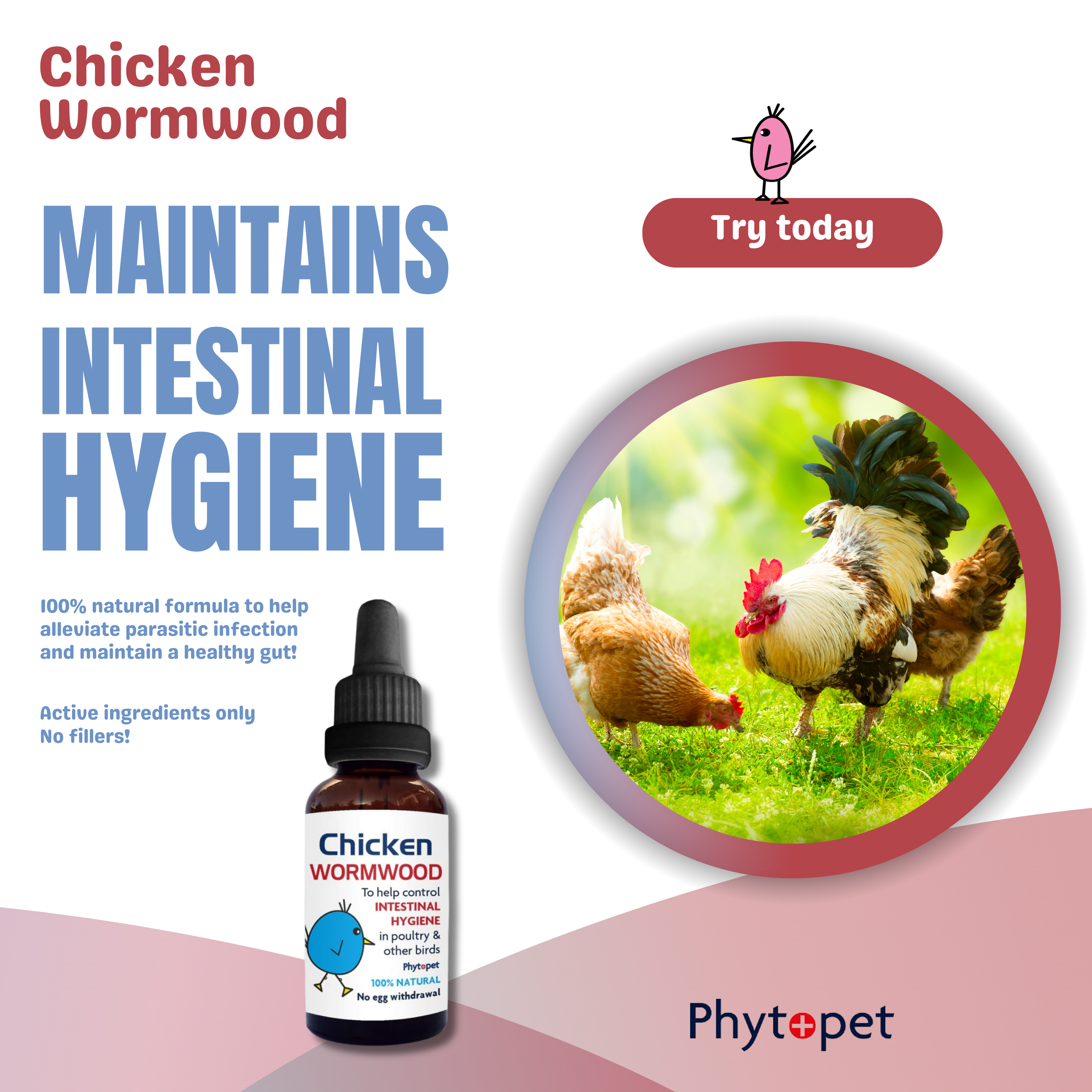 Chicken Wormwood Complex - Supporting intestinal hygiene in Poultry and other birds