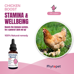 Chicken Boost - General Tonic for Poultry, Game and Aviary birds